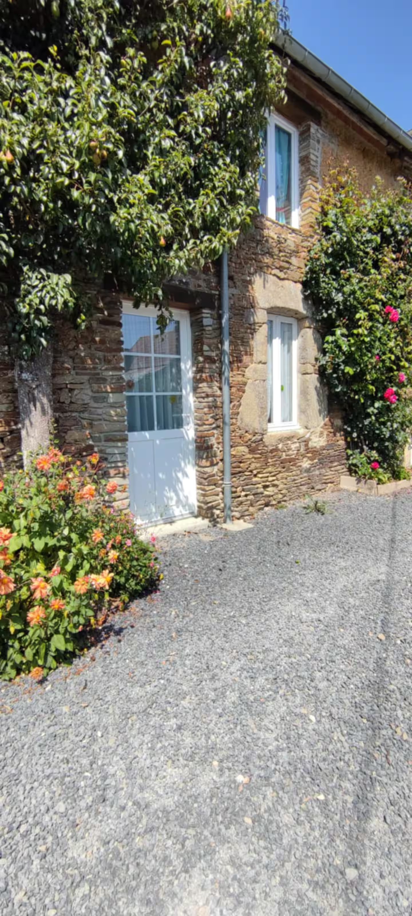 Photo n° 1 of the location