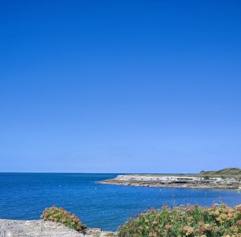 Ile d'Aix