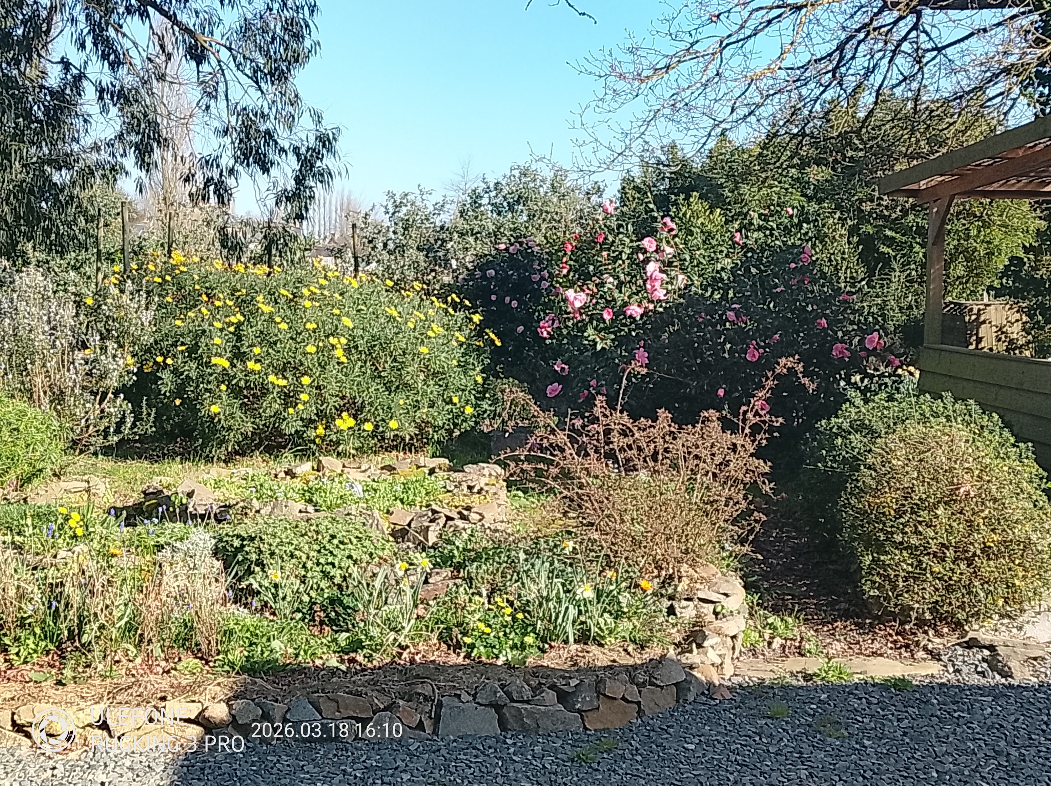 Spring colours on the estate