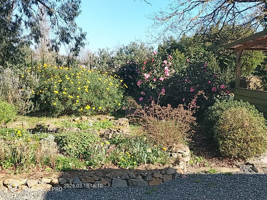 Spring colours on the estate