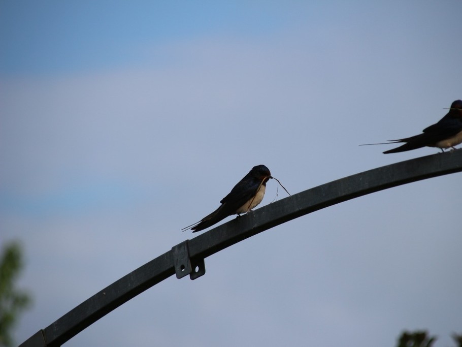 Photo n° 18 de la location