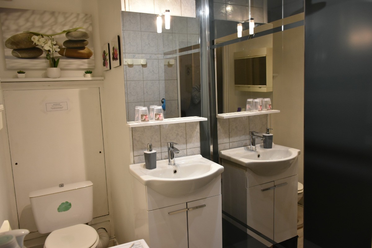 Salle d'eau avec wc, lavabo, grande douche