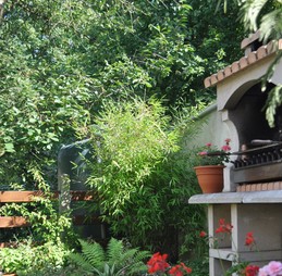 Image n° 2 de la location
