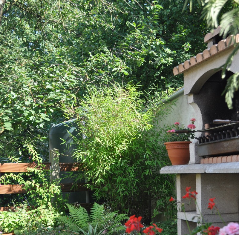 Photo n° 2 de la location