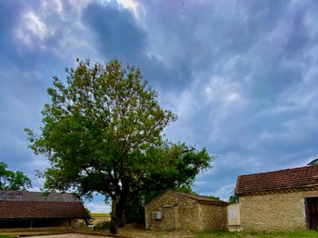 Terrain de pétanque