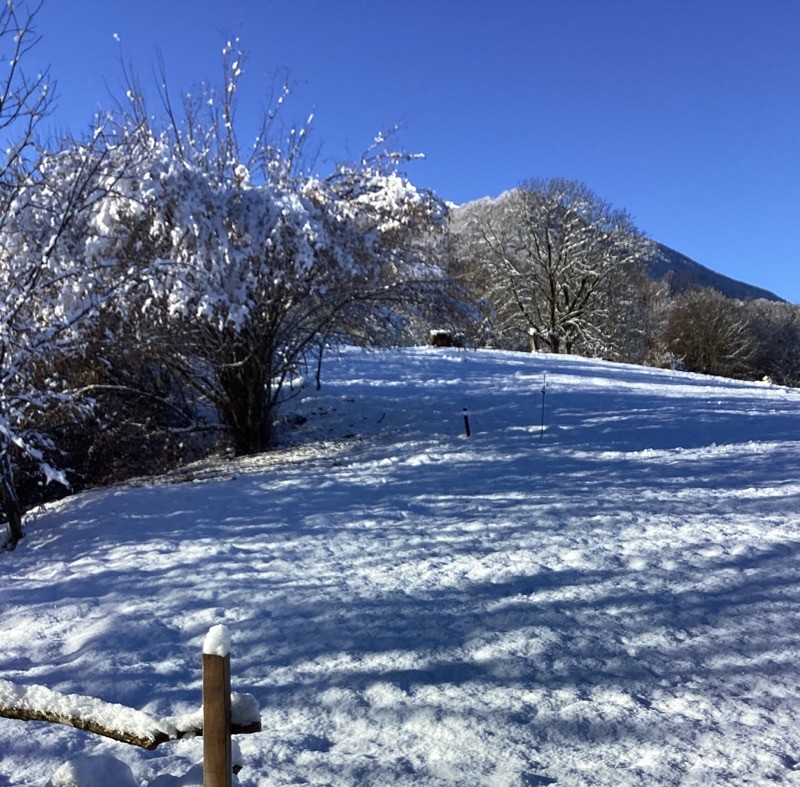 Photo n° 11 de la location