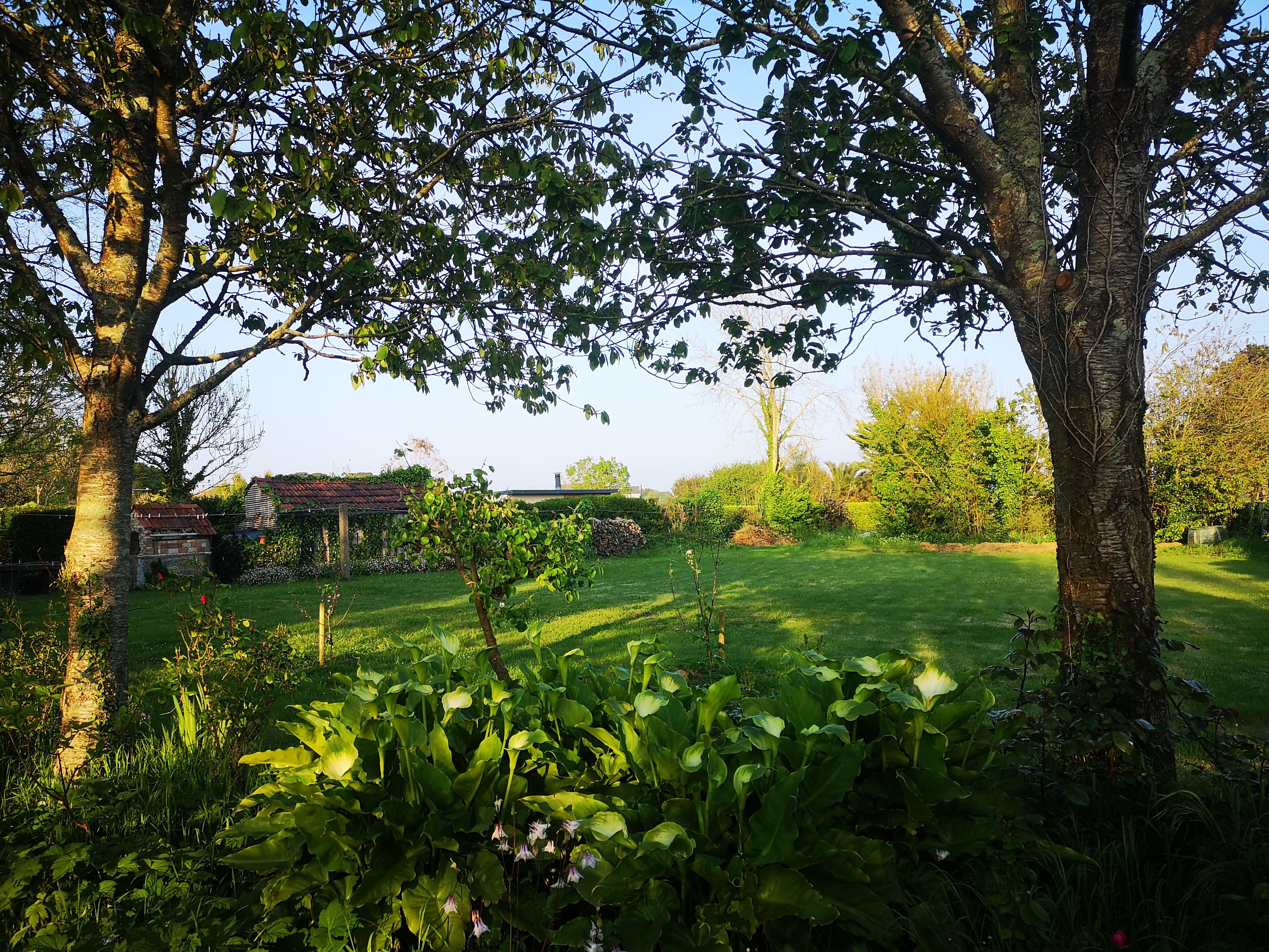 Photo n° 8 of the location