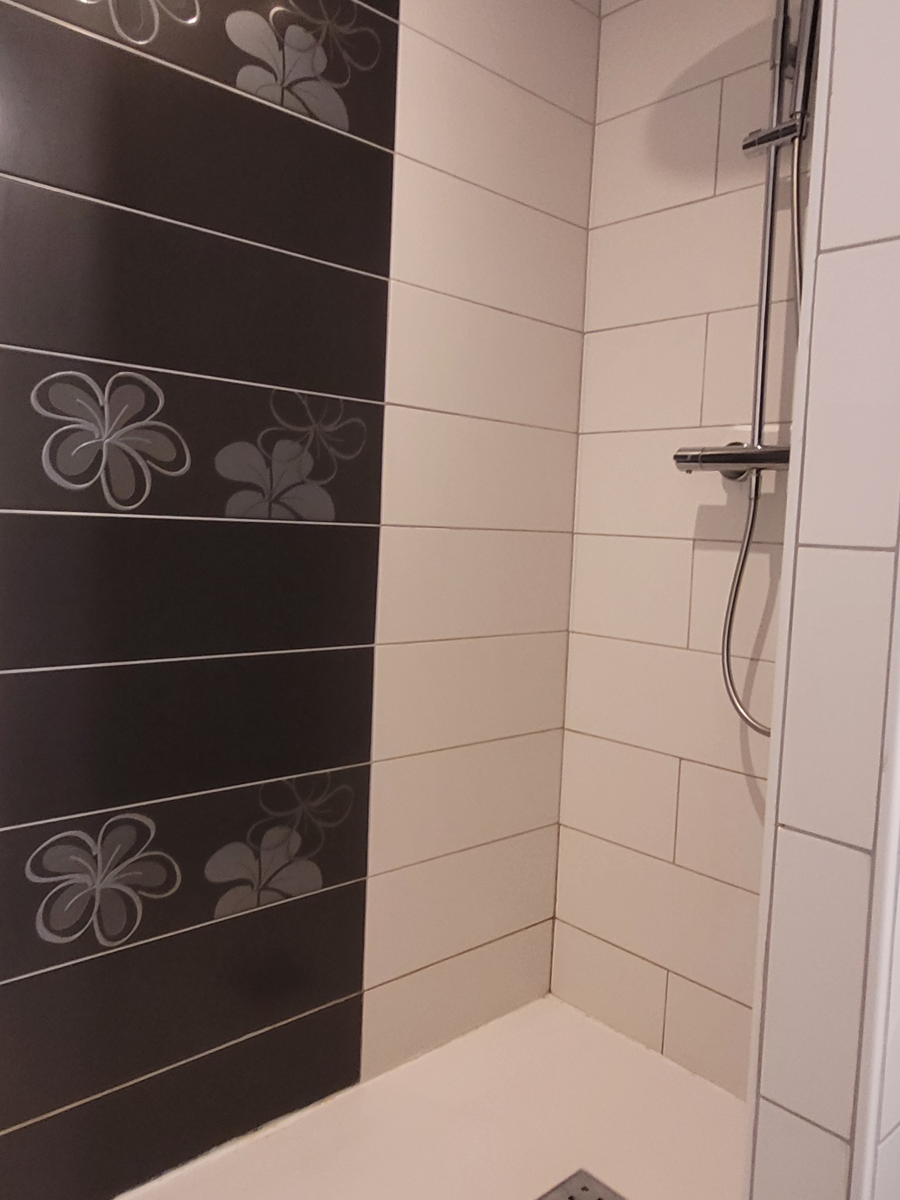 Ancre Violette, 2-people flat, ground floor, shower room with walk-in shower, washbasin and WC