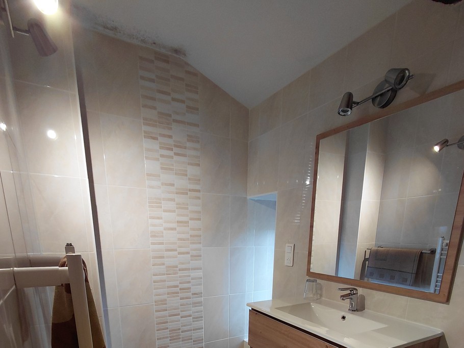 La Maison Léon shower room