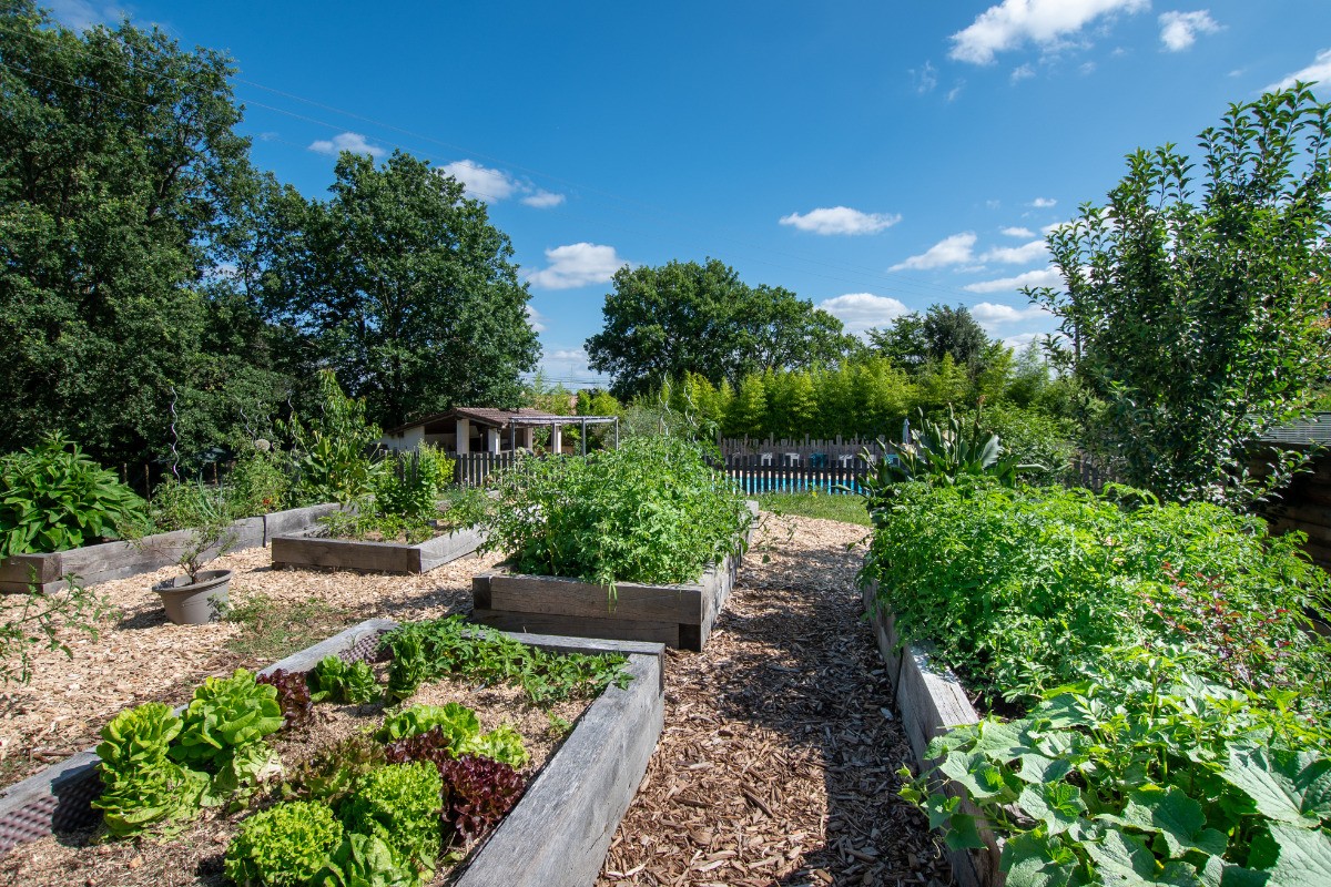 Le potager