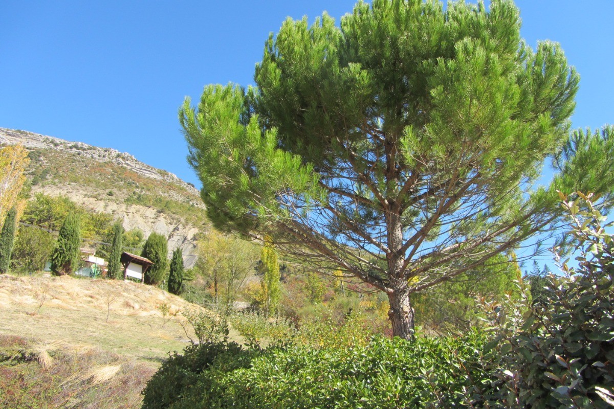 Photo n° 11 of the location