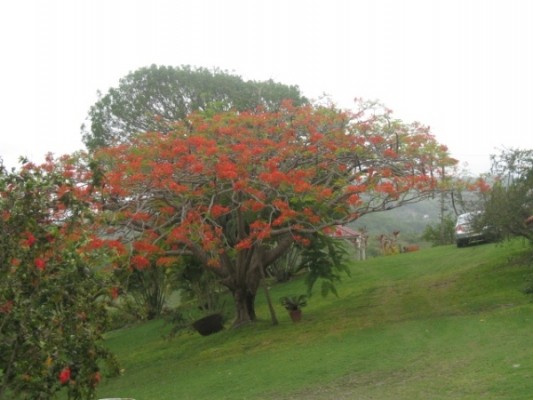 Photo n° 9 of the location