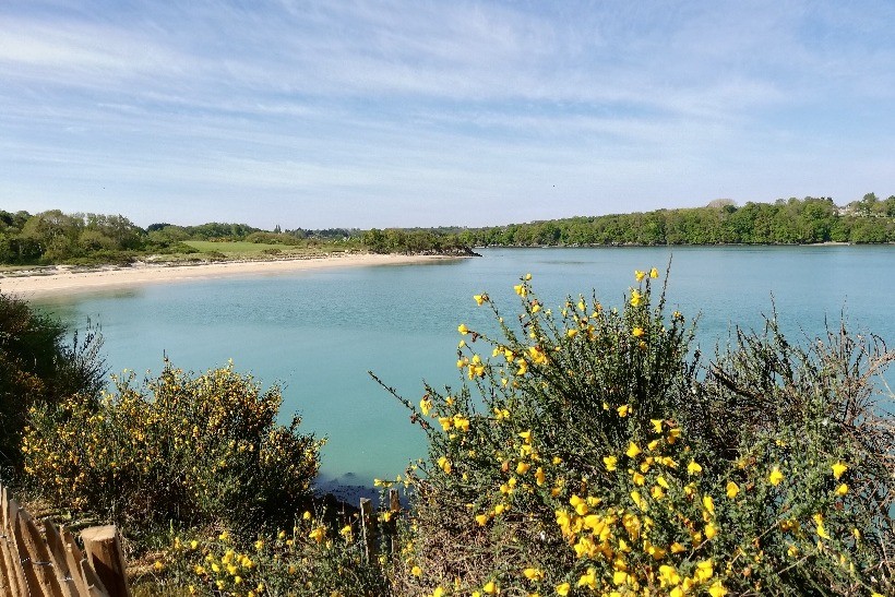 Plage de Vauvert (marée haute ) , Saint Jacut de la mer, 50 mn à pied du gite par le gr34