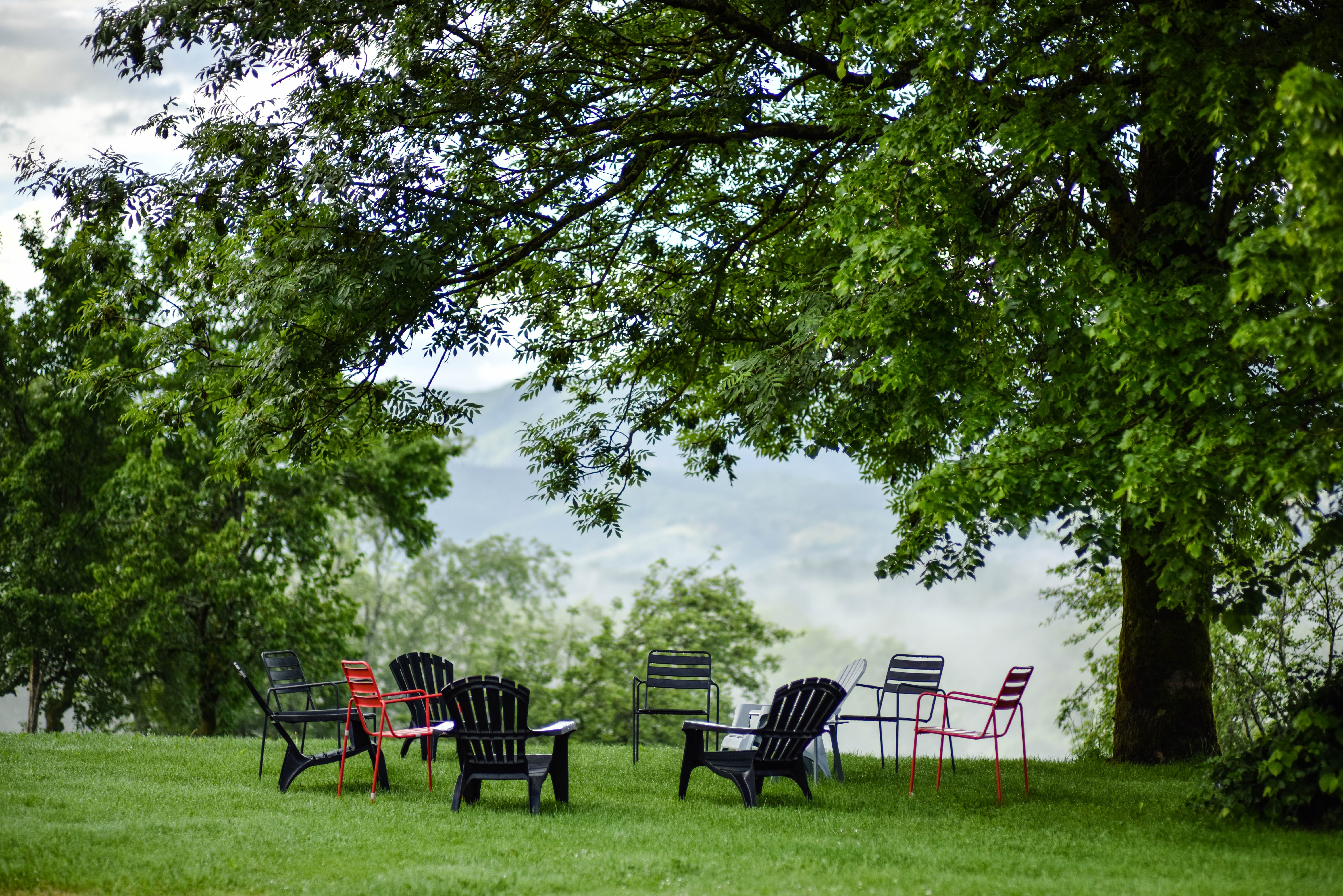 Jardin d’été