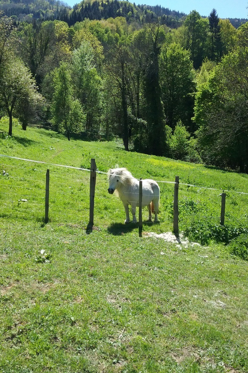 Photo n° 11 de la location