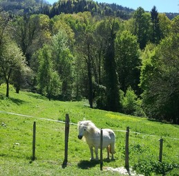 Image n° 4 de la location