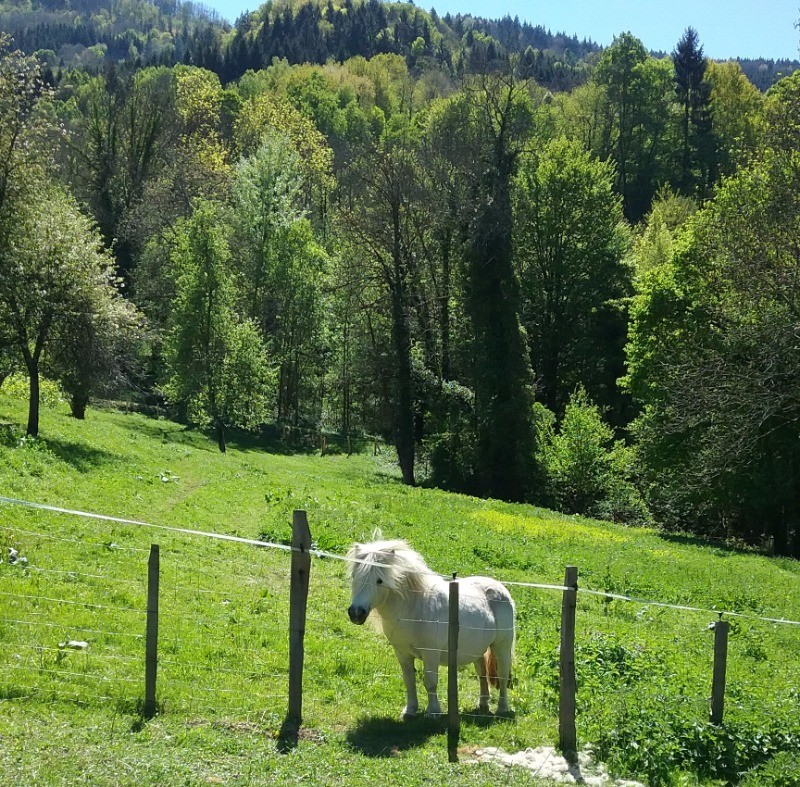 Photo n° 11 de la location