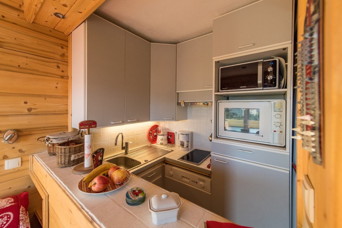 Studio Les Aiguilles n°98 La Toussuire Domaine skiable Les Sybelles