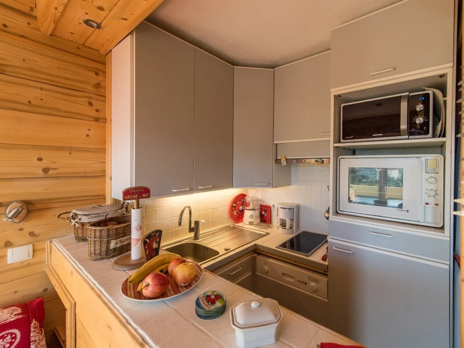 Studio Les Aiguilles n°98 La Toussuire Domaine skiable Les Sybelles