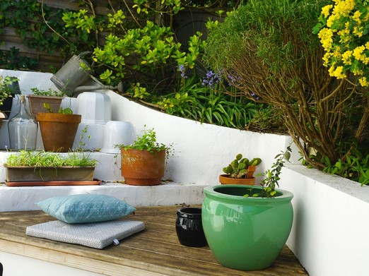 carefully landscaped garden