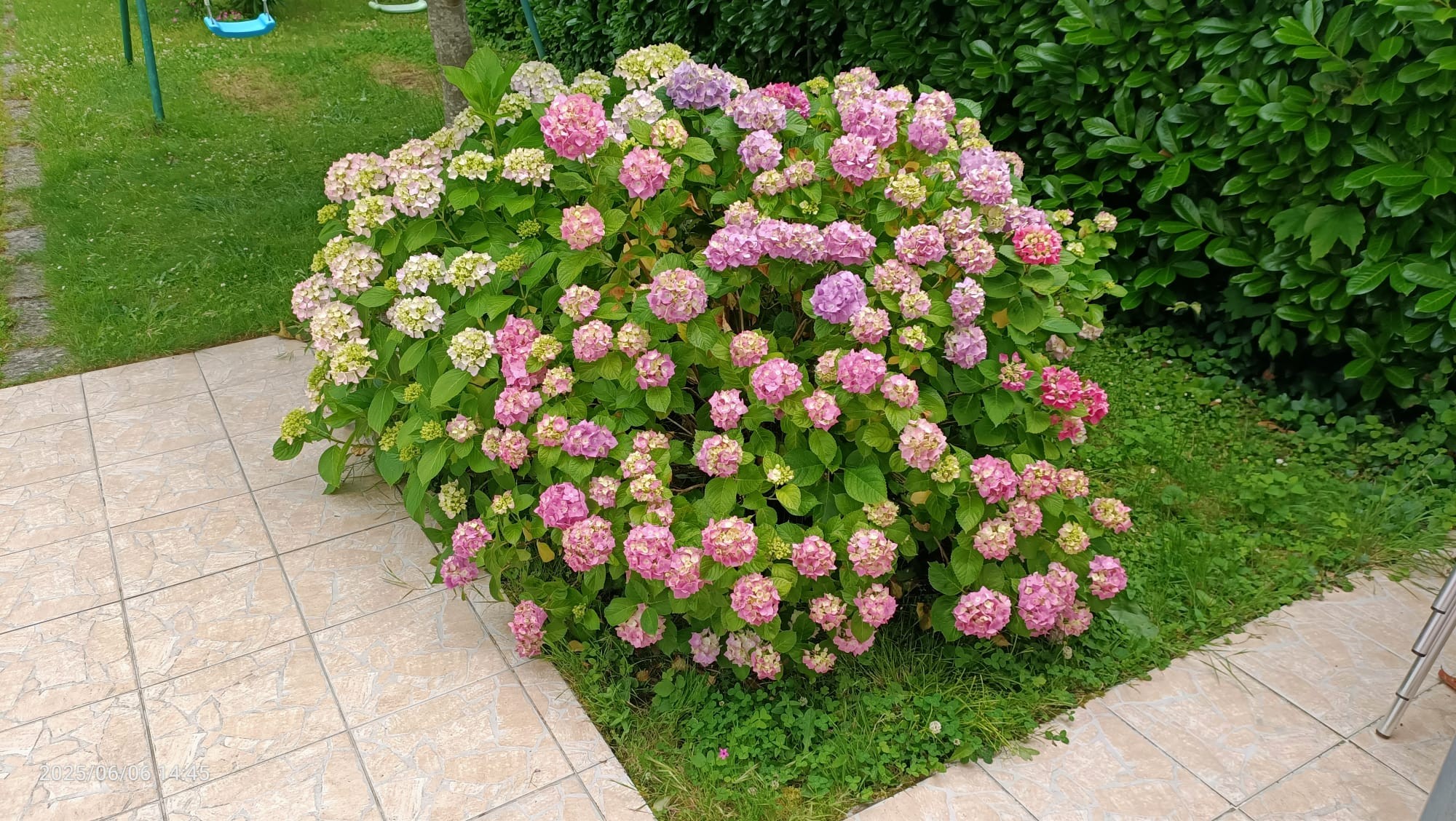 Photo n° 7 de la location