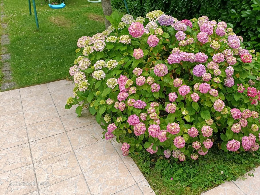 Photo n° 10 of the location