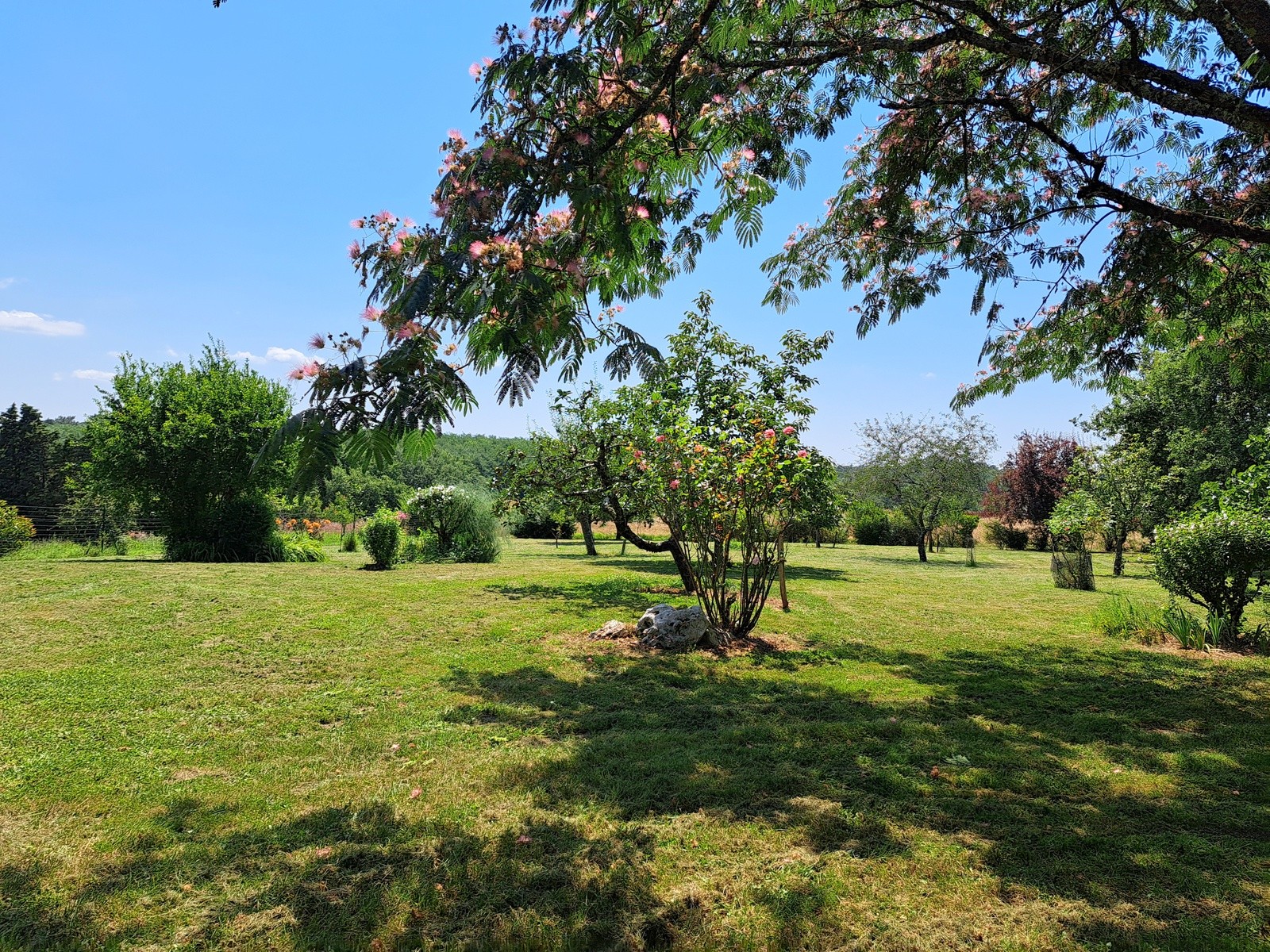 Le jardin vue sur la forêt