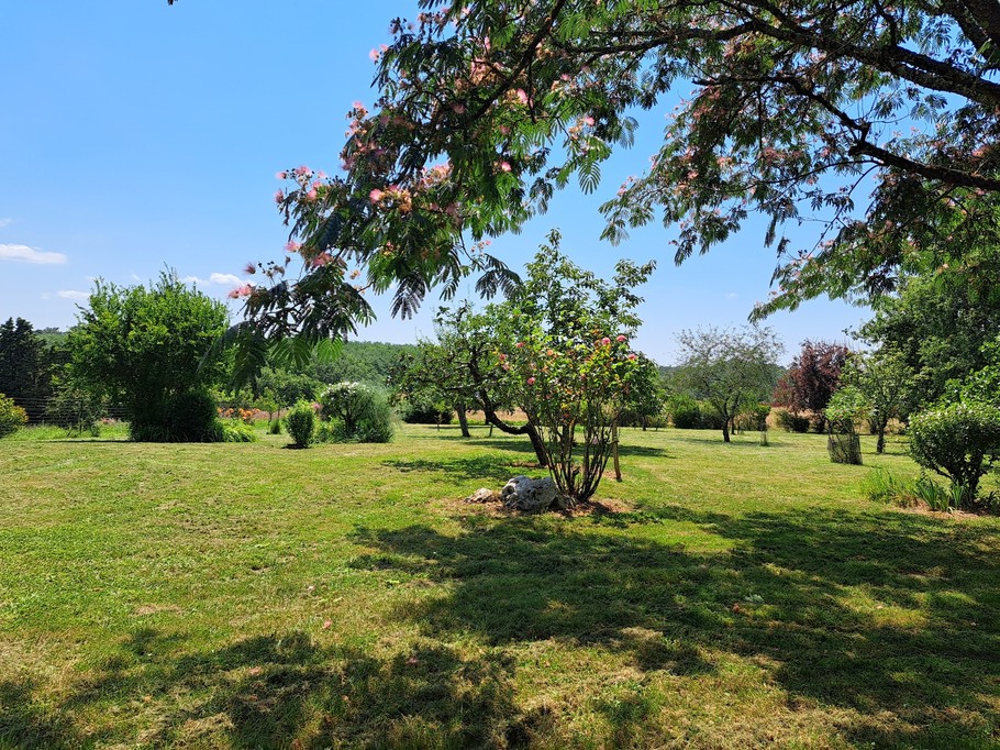 Le jardin vue sur la forêt