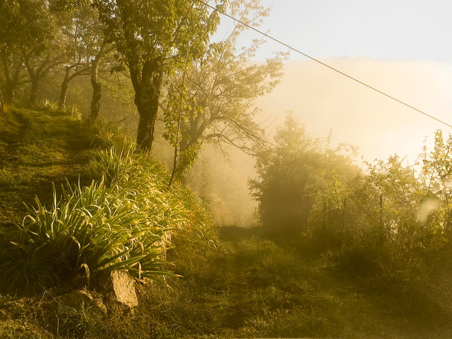 Photo n° 14 de la location