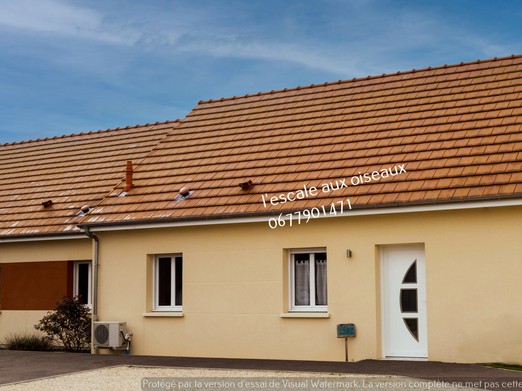 Image n° 1 de la location