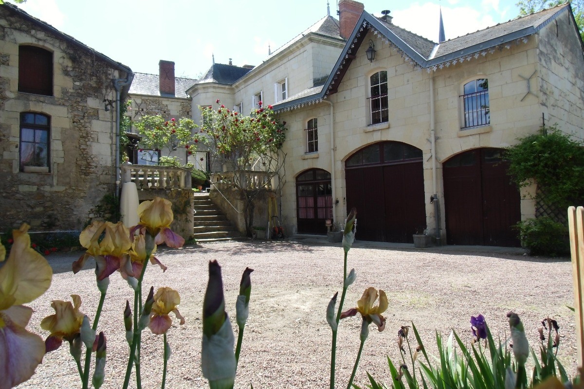 La cour