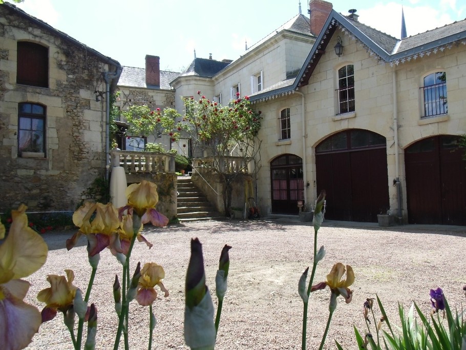La cour