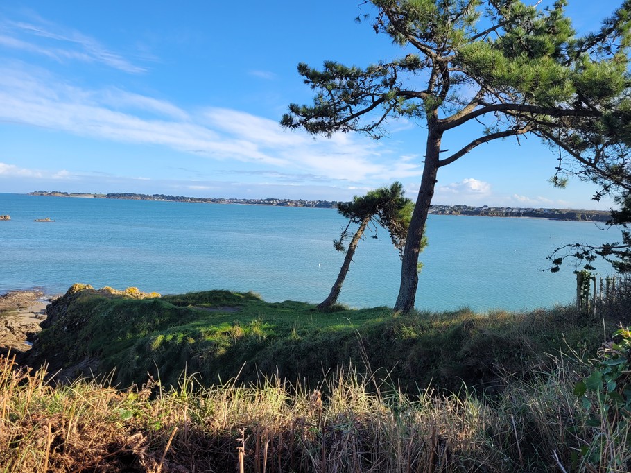 Photo n° 13 de la location