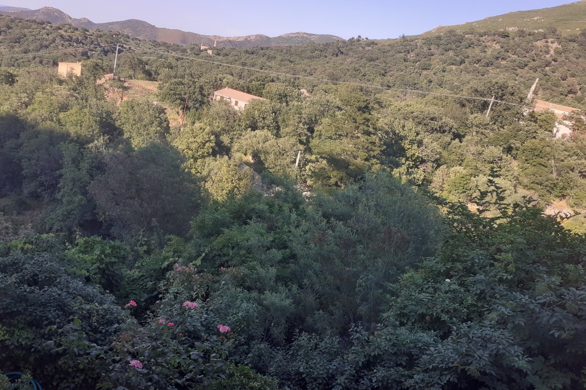 Vue terrasse