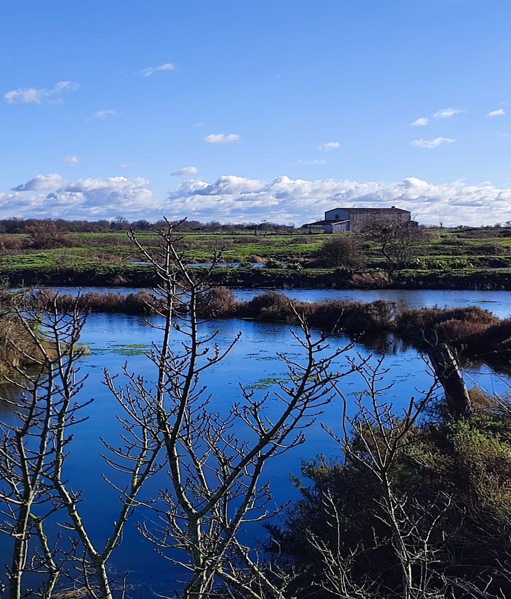 Le moulin des Loges trône au milieu des marais
