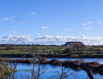 Le moulin des Loges trône au milieu des marais