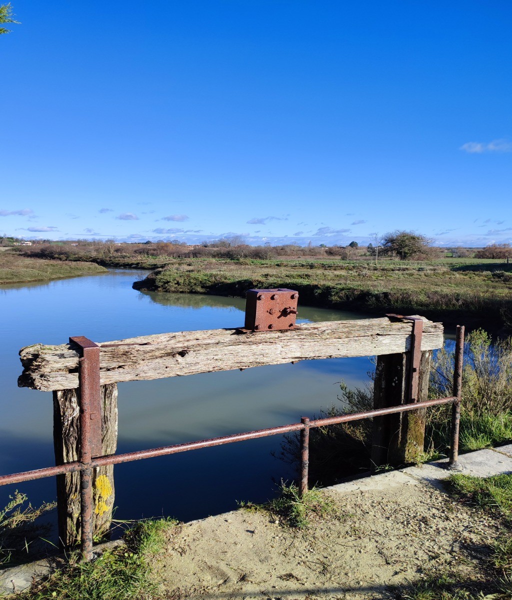 Le Marais du moulin des Loges