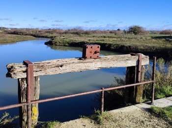 Le Marais du moulin des Loges