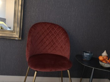 Photo n° 4 de la location