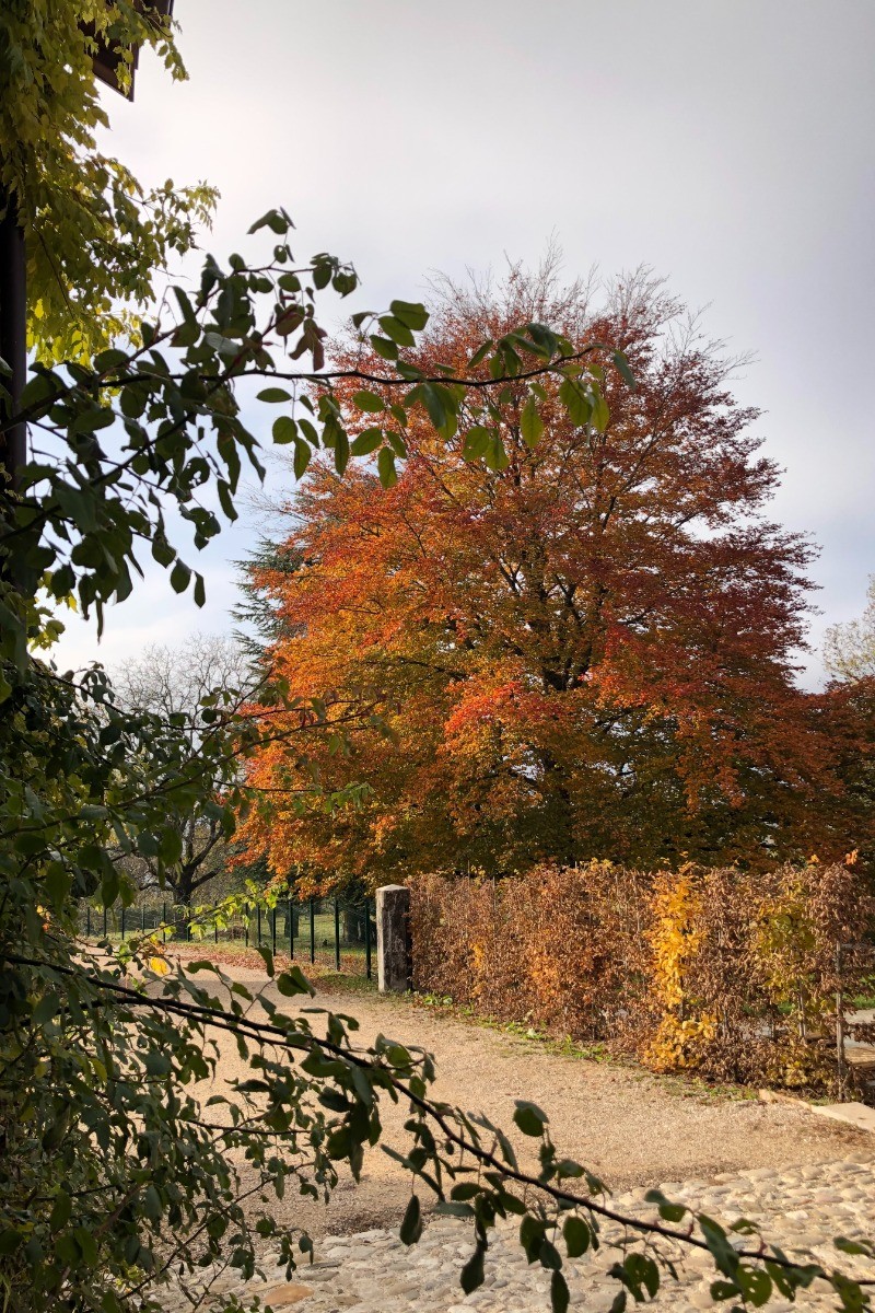 Photo n° 13 of the location
