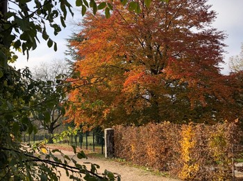 Photo n° 13 of the location