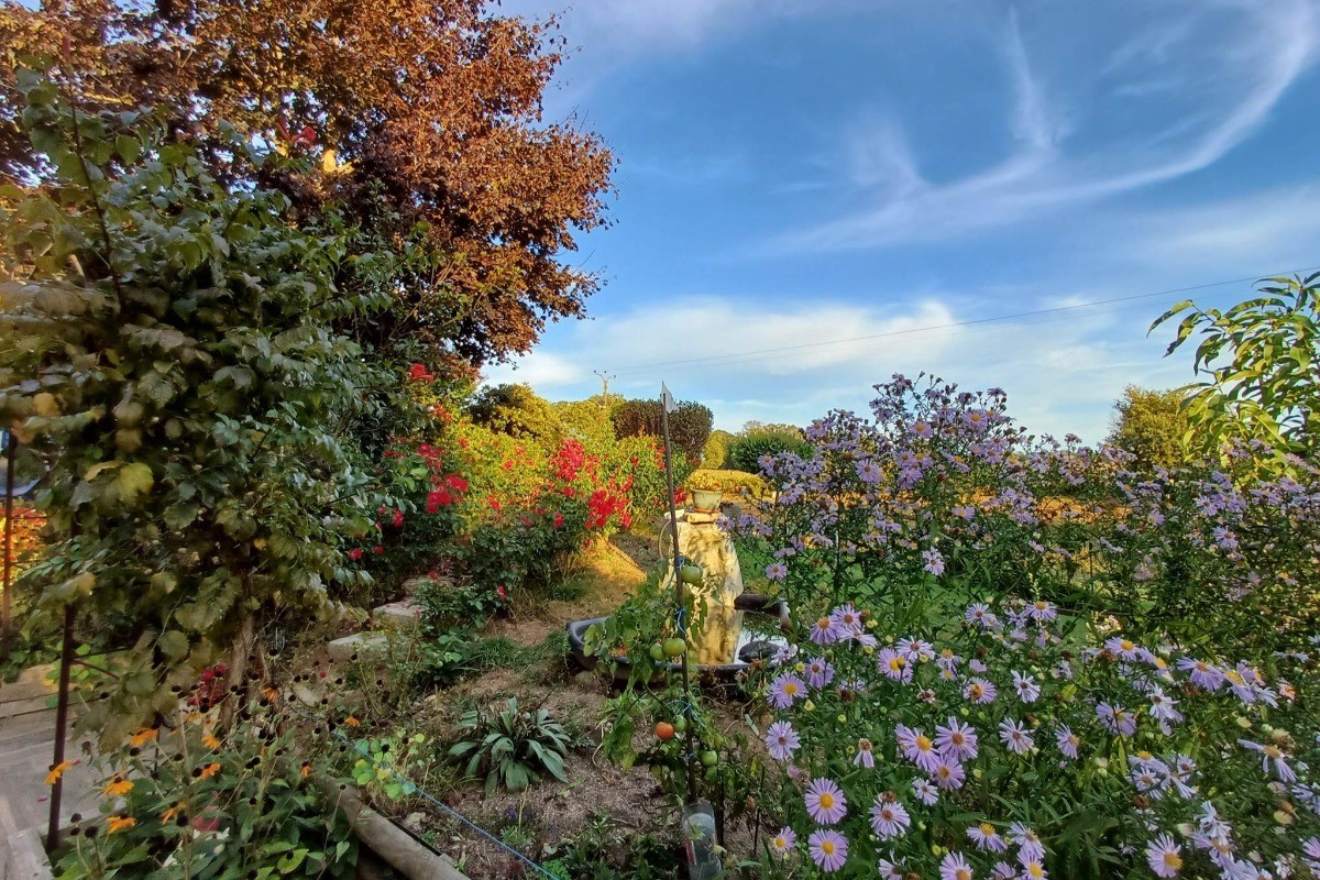 Le jardin et ses fleurs