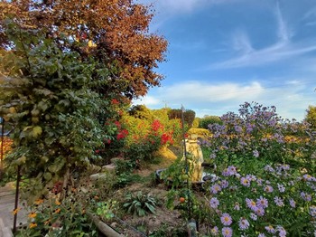Le jardin et ses fleurs