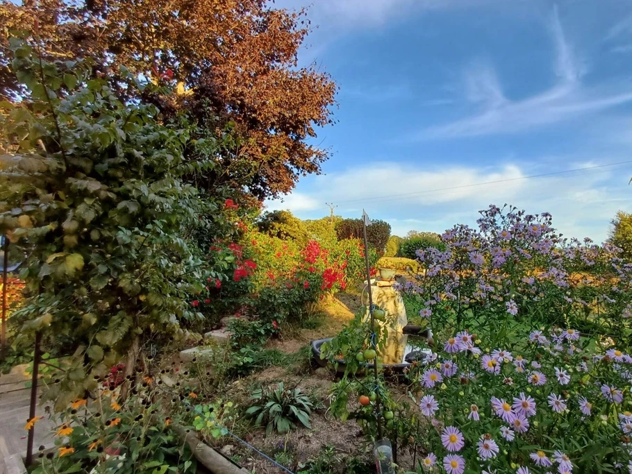 Le jardin et ses fleurs