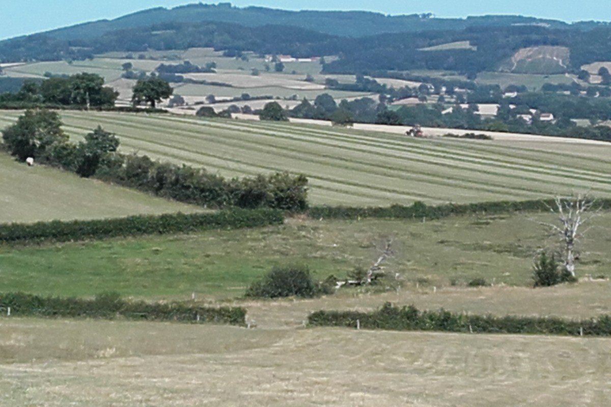 le temps des fenaisons