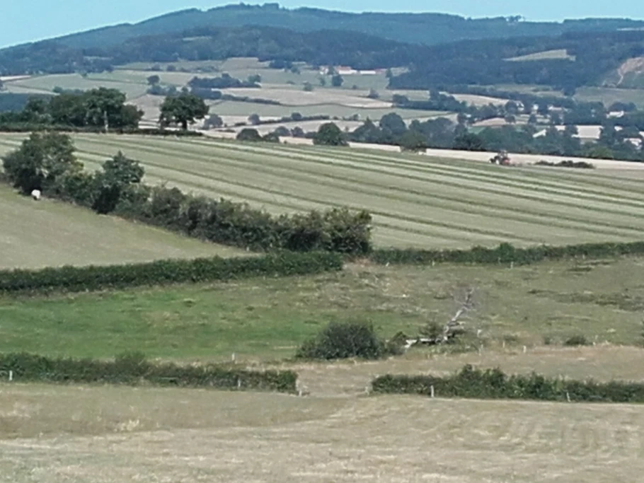 le temps des fenaisons