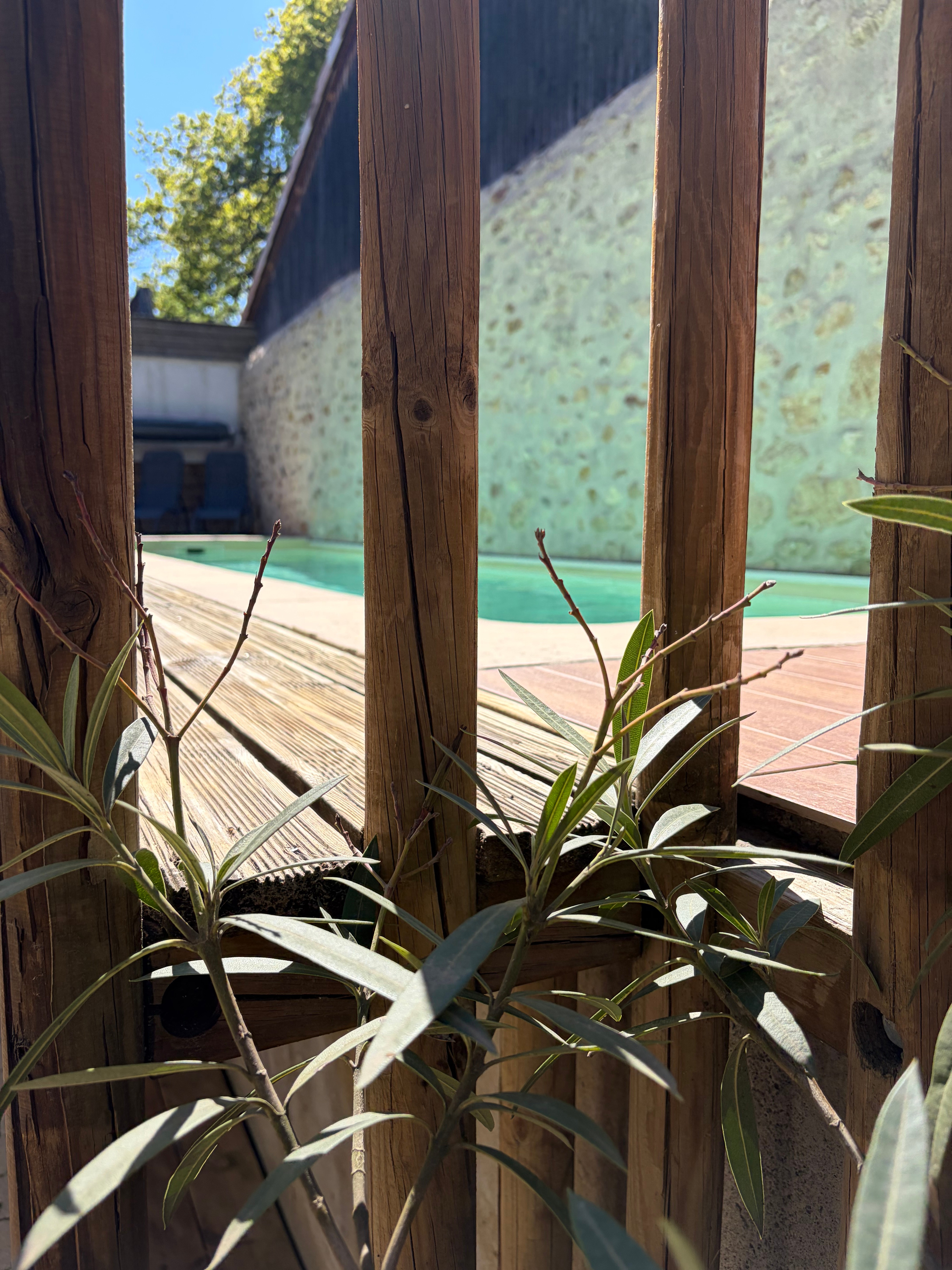Photo n° 2 de la location