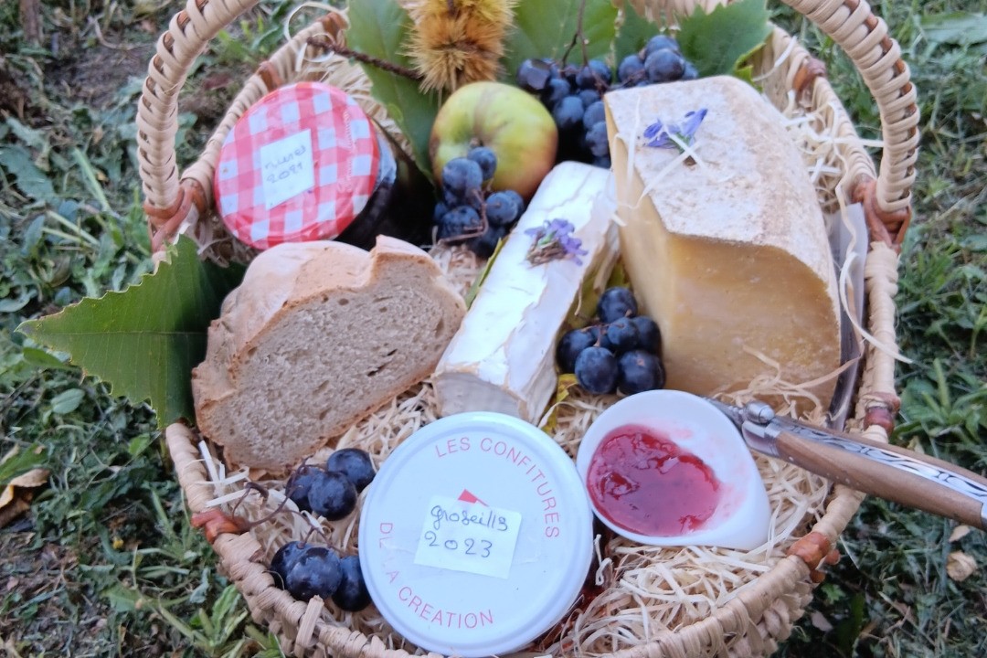 Basket of local produce