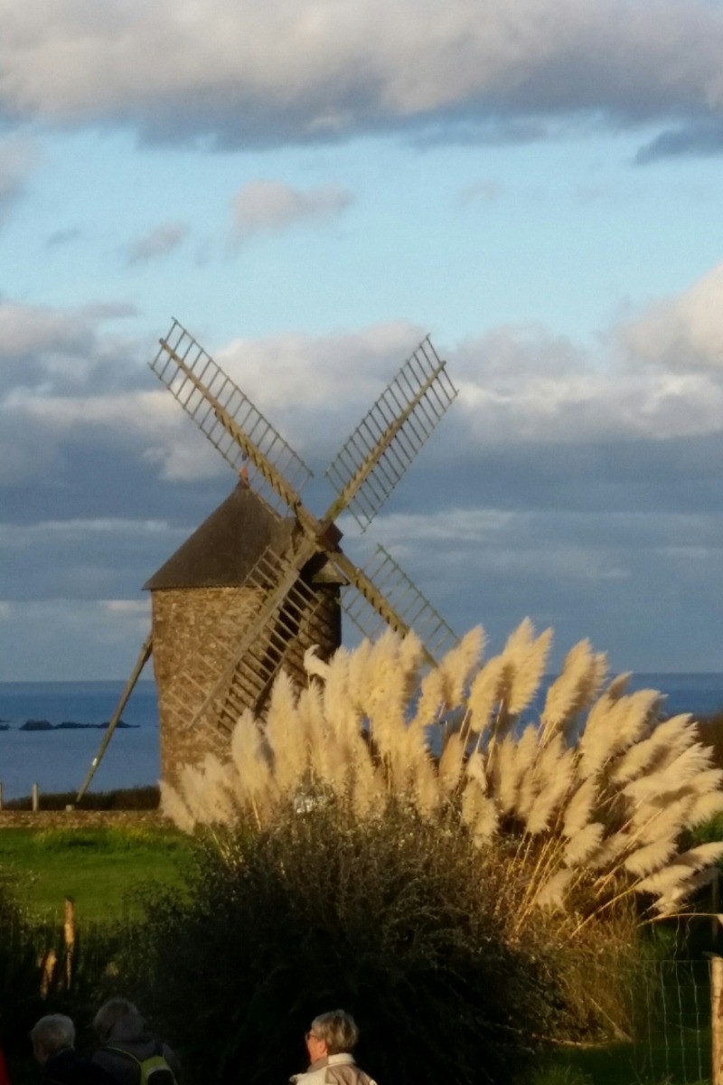 Location "Île verte" dans la maison de Marilou en plein coeur de ville (Côtes d'Armor, Bretagne) - Moulin de Craca