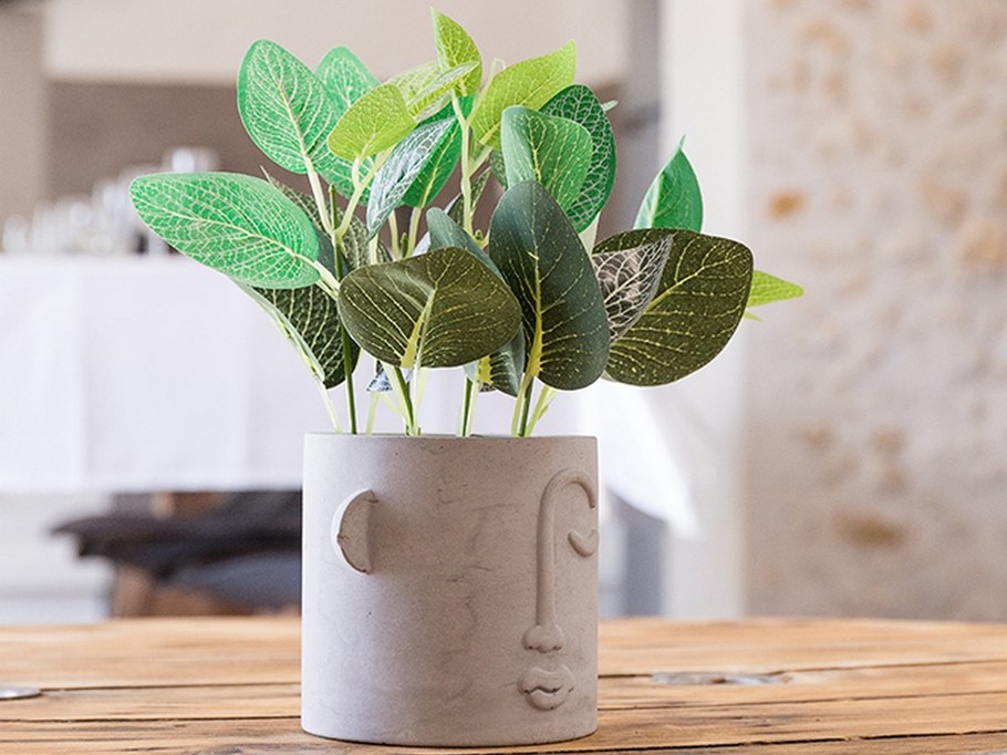 Photo n° 13 of the location